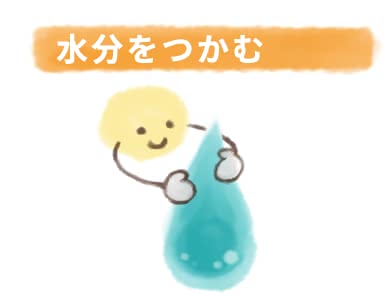 水分をつかむ