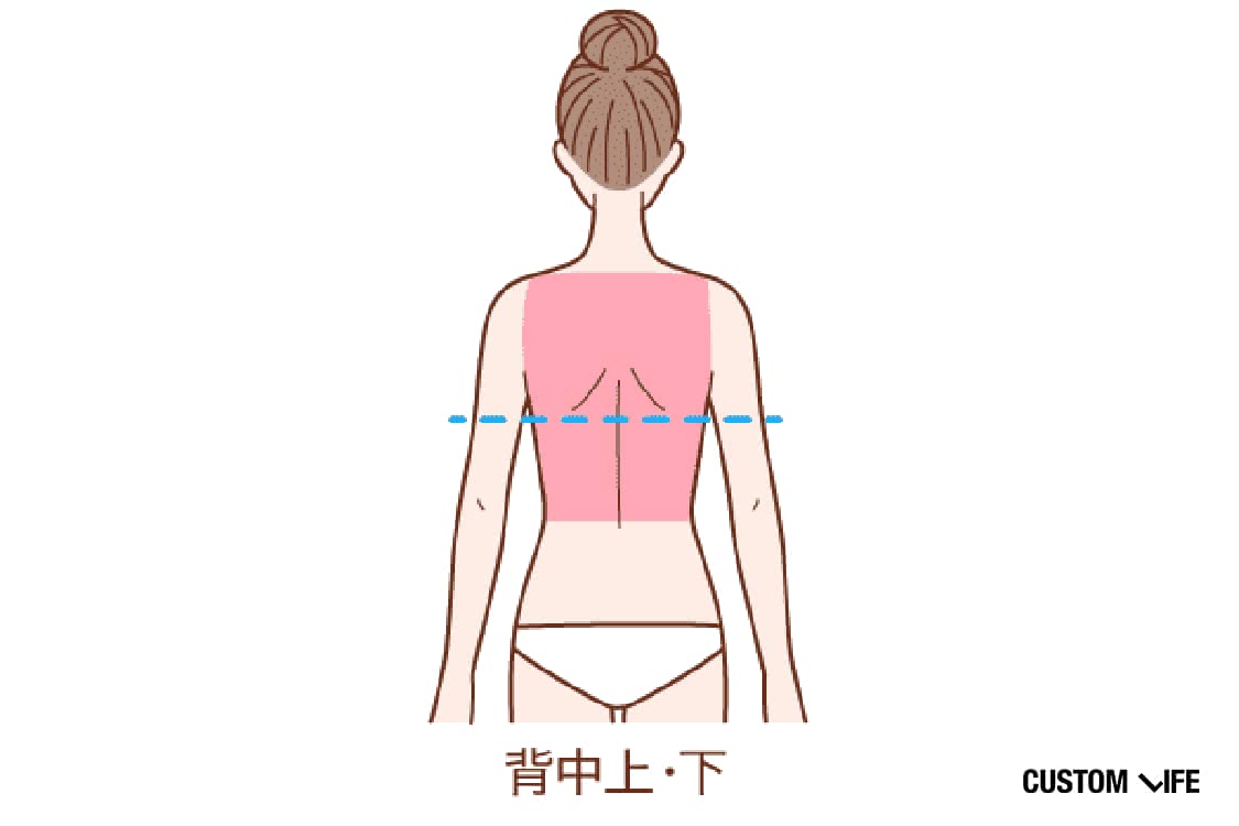 背中上・下