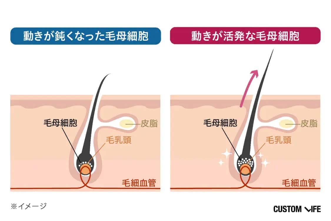 リアップ,効果