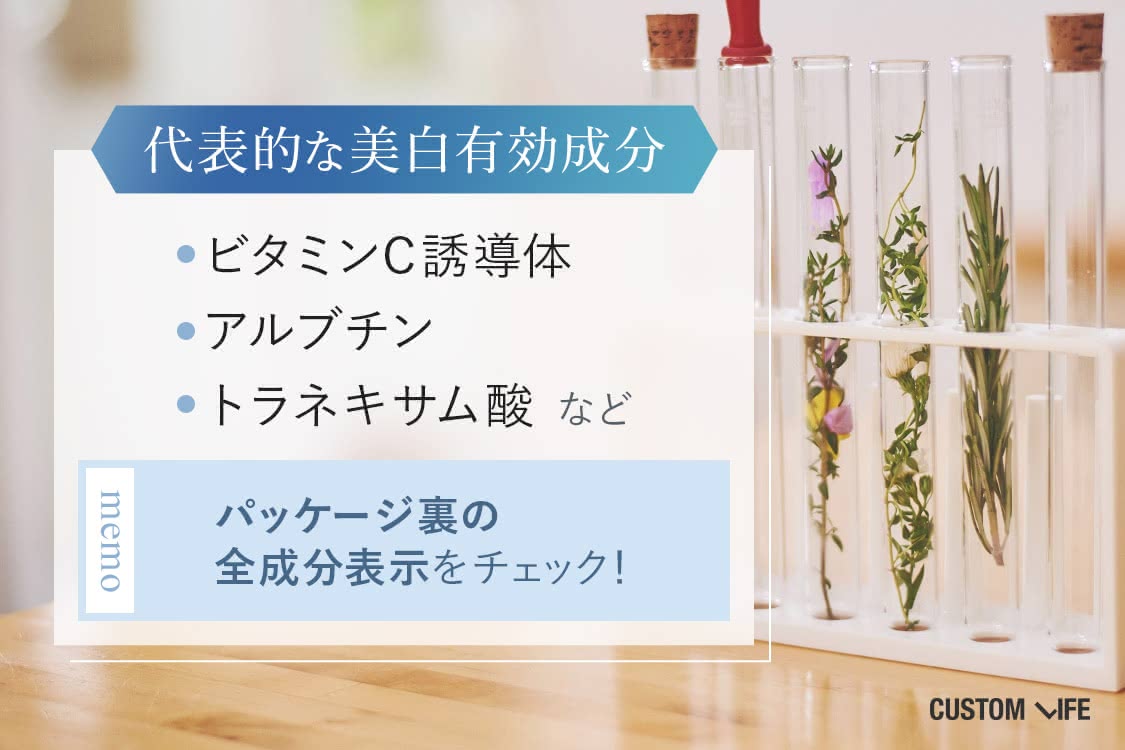 代表的な美白成分の種類