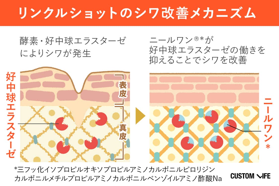 リンクルショットメディカルセラムNのシワ改善メカニズム