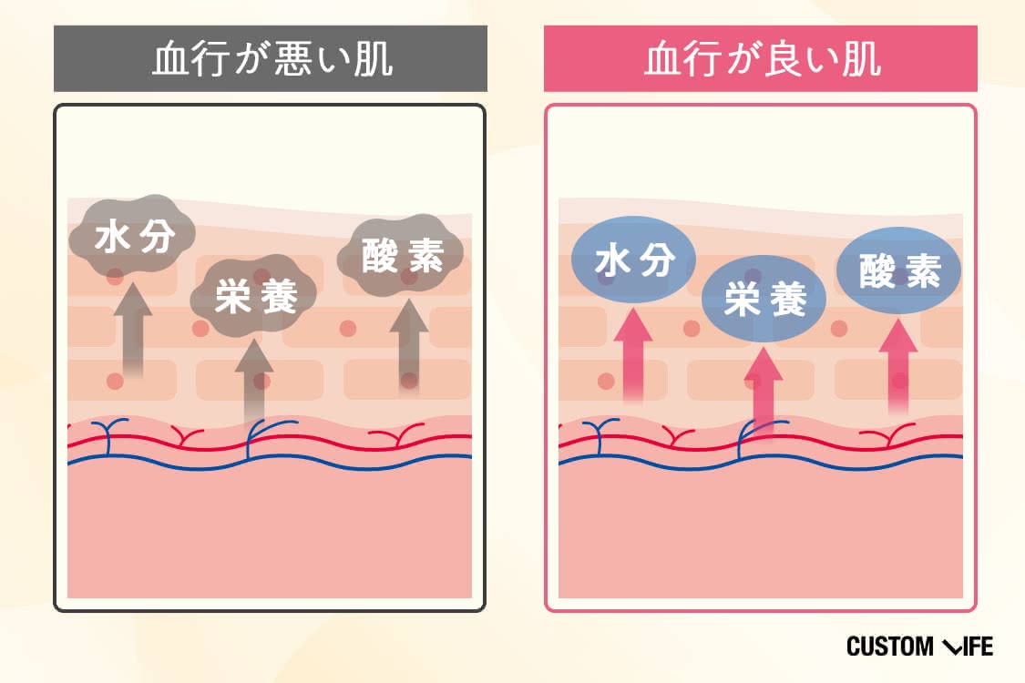 血行不良がたるみを引き起こすメカニズム