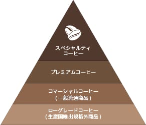 コーヒー豆の階層イメージ
