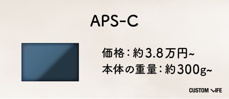 APS-C