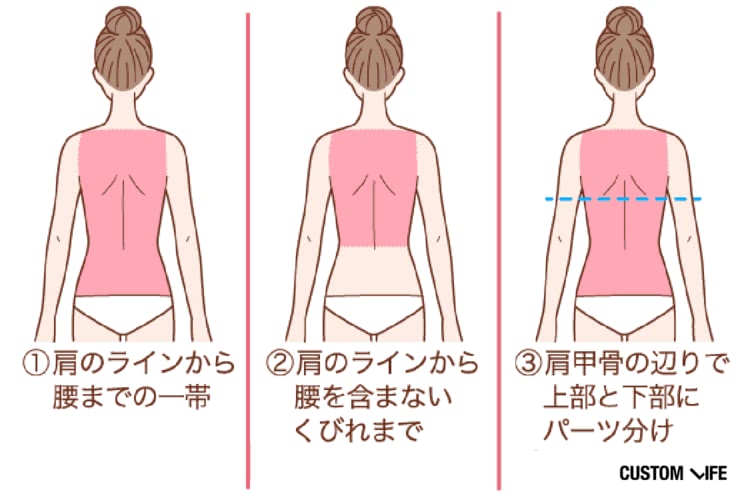 ①肩のラインから腰までの一帯②肩のラインから腰を含まないくびれまで③肩甲骨の辺りで上部と下部にパーツ分け